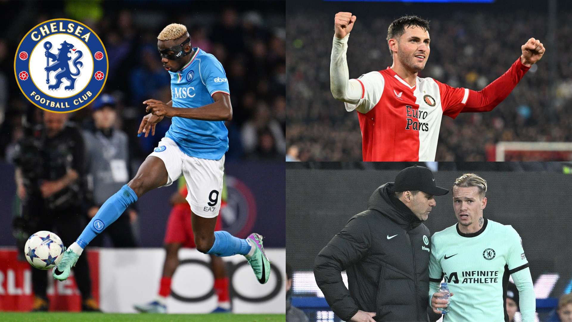 晰地看到 晰地看到